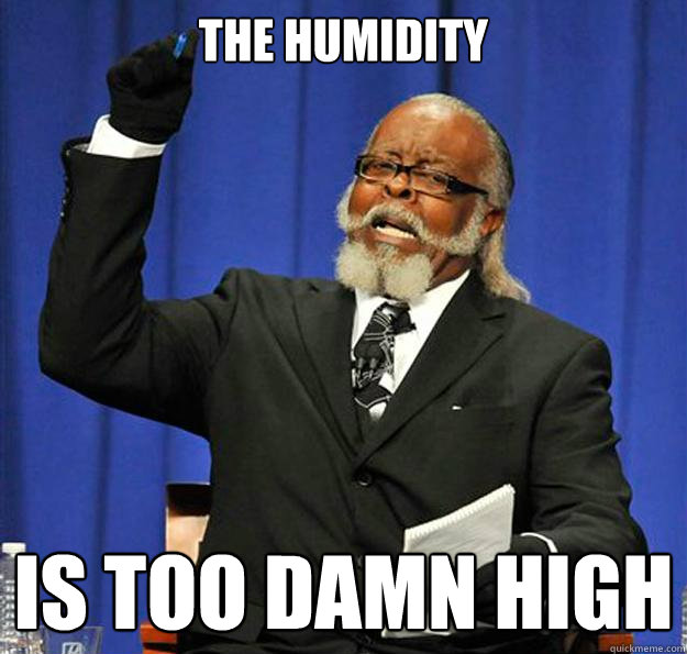 The humidity Is too damn high - The humidity Is too damn high  Jimmy McMillan