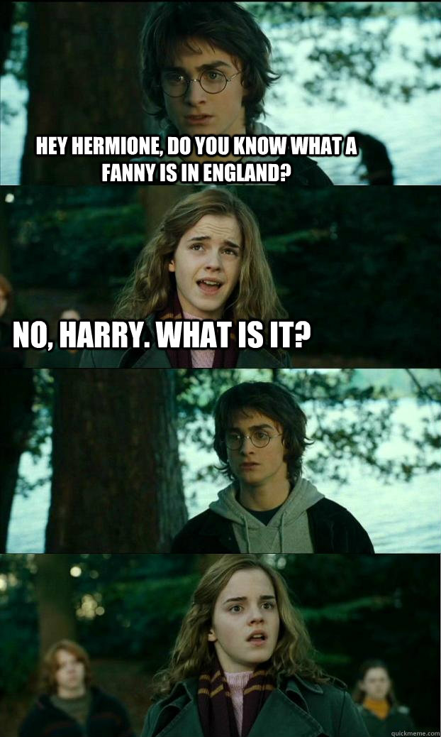 Hey Hermione, Do you know what a Fanny is in England? No, Harry. What is it?   Horny Harry