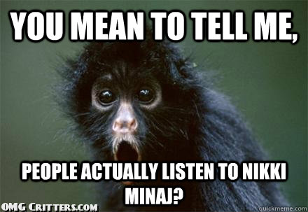 you mean to tell me, people actually listen to nikki minaj?  