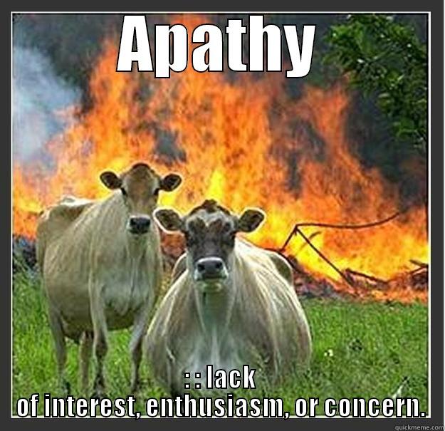 yolo cow - APATHY : : LACK OF INTEREST, ENTHUSIASM, OR CONCERN. Evil cows