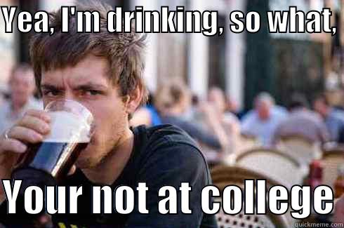 True :/ - YEA, I'M DRINKING, SO WHAT,   YOUR NOT AT COLLEGE Lazy College Senior