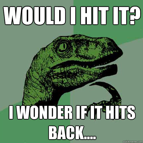 Would I hit it? I wonder if it hits back....  Philosoraptor