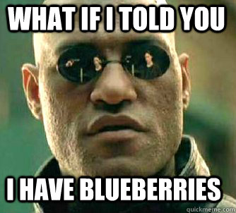 what if i told you I have blueberries  Matrix Morpheus