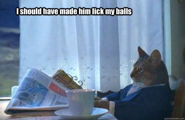 I should have made him lick my balls  Sophisticated Cat