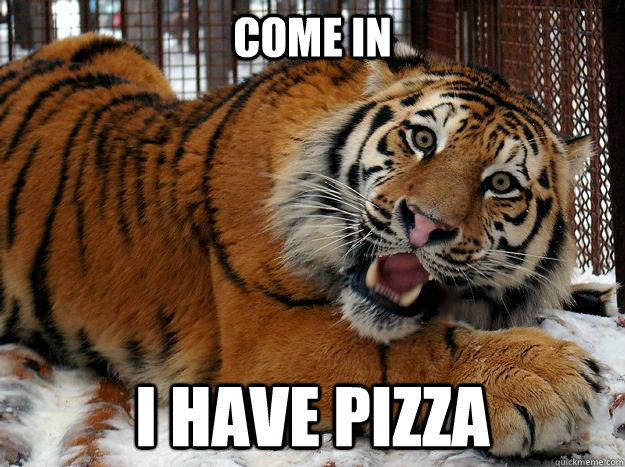 come in I have pizza  Fascinated Tiger