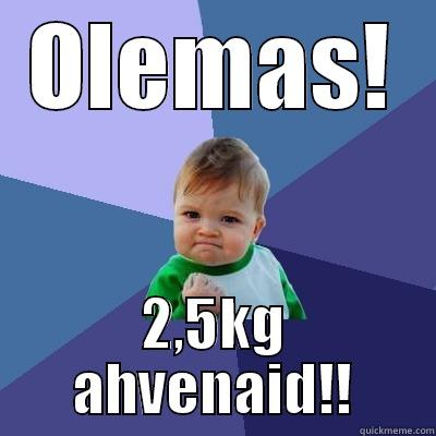 OLEMAS! 2,5KG AHVENAID!! Success Kid