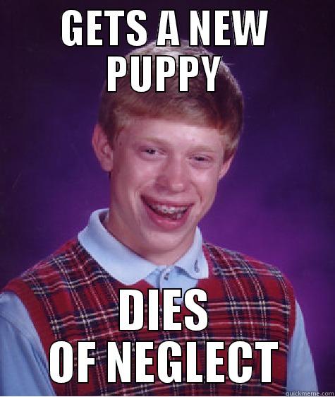 GETS A NEW PUPPY DIES OF NEGLECT Bad Luck Brian