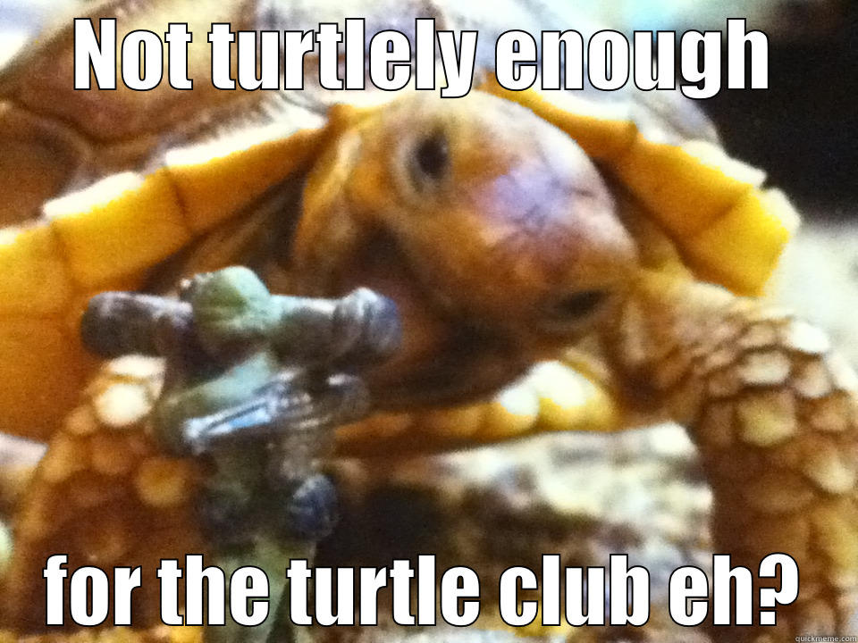 NOT TURTLELY ENOUGH FOR THE TURTLE CLUB EH? Misc