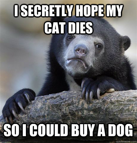 I secretly hope my cat dies so i could buy a dog  Confession Bear