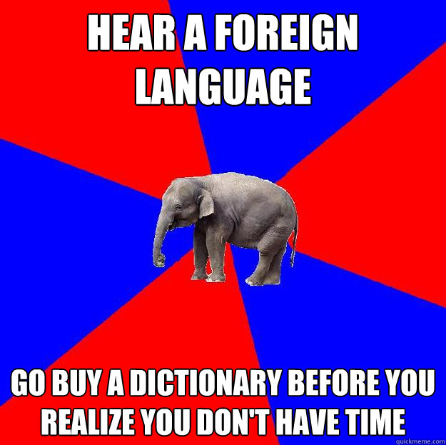 hear a foreign language go buy a dictionary before you realize you don't have time   Foreign language elephant