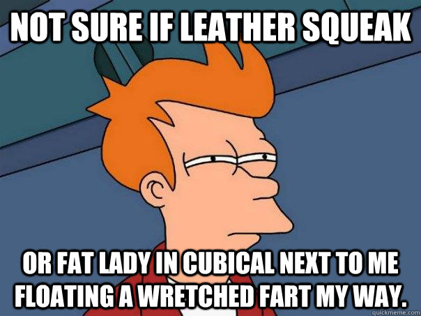 Not sure if leather squeak or fat lady in cubical next to me floating a wretched fart my way. - Not sure if leather squeak or fat lady in cubical next to me floating a wretched fart my way.  Futurama Fry