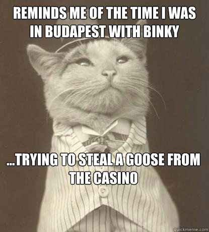 reminds me of the time i was in budapest with binky ...trying to steal a goose from the casino  Aristocat