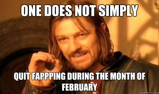 One Does Not Simply Quit fappping During the month of February   Boromir