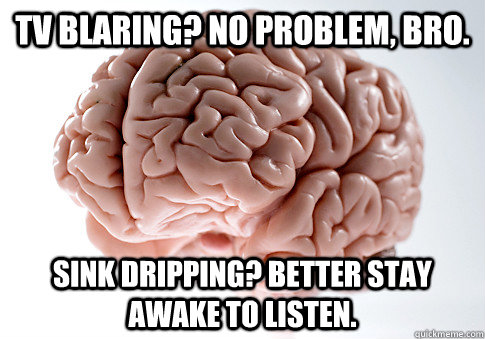 TV Blaring? No problem, bro. Sink dripping? Better stay awake to listen.  Scumbag Brain