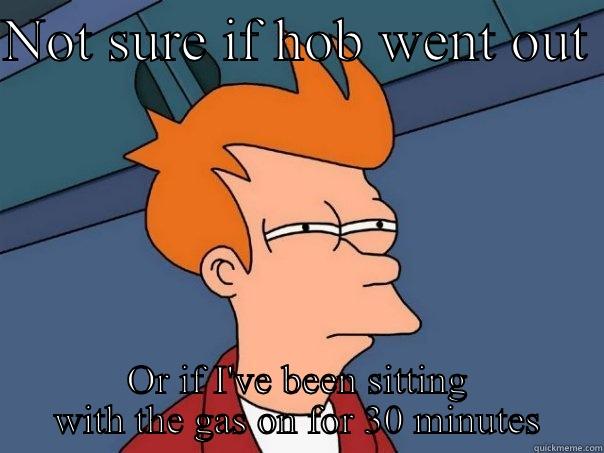 NOT SURE IF HOB WENT OUT  OR IF I'VE BEEN SITTING WITH THE GAS ON FOR 30 MINUTES Futurama Fry