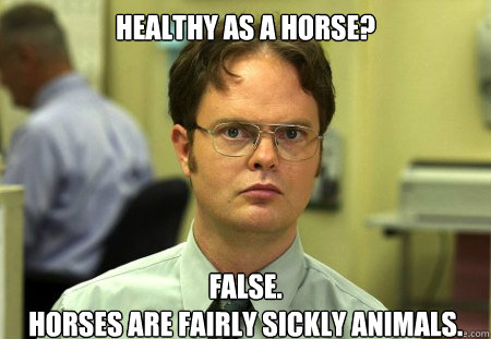 Healthy as a horse? False.
Horses are fairly sickly animals.  Dwight