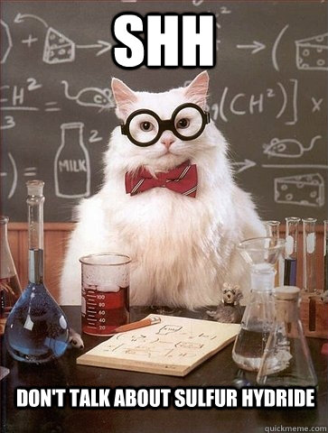 SHH Don't talk about sulfur hydride - SHH Don't talk about sulfur hydride  Chemistry Cat