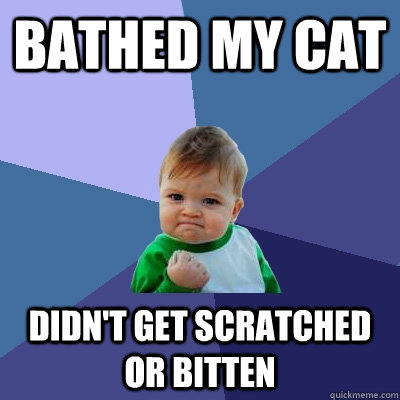 Bathed my cat didn't get scratched or bitten  Success Kid