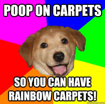 poop on carpets so you can have rainbow carpets!  Advice Dog