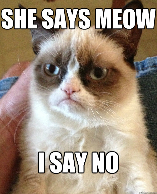 she says meow i say NO  Grumpy Cat