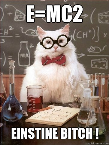 e=mc2 Einstine Bitch !  Chemistry Cat