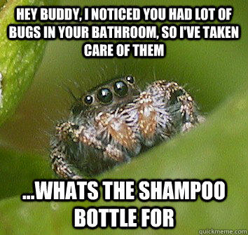 Hey buddy, I noticed you had lot of bugs in your bathroom, so I've taken care of them ...whats the shampoo bottle for  