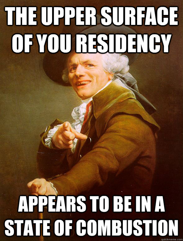 the upper surface of you residency appears to be in a state of combustion  Joseph Ducreux