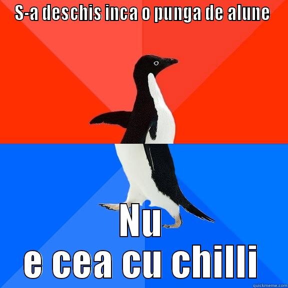 S-A DESCHIS INCA O PUNGA DE ALUNE NU E CEA CU CHILLI Socially Awesome Awkward Penguin