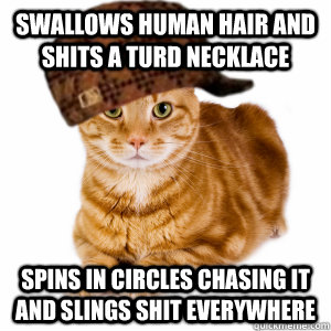 swallows human hair and shits a turd necklace spins in circles chasing it and slings shit everywhere - swallows human hair and shits a turd necklace spins in circles chasing it and slings shit everywhere  Misc