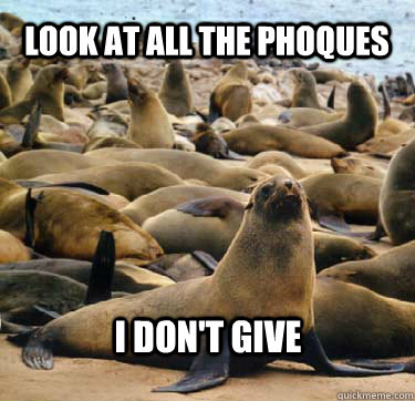 Look at all the phoques I don't give  Phoque