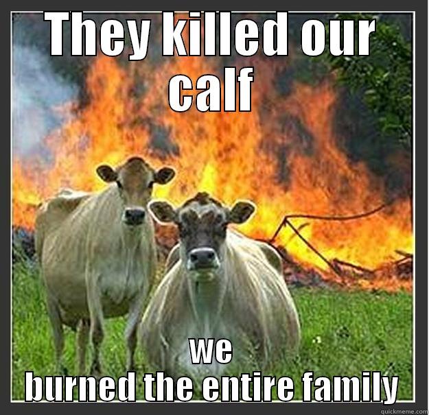 Dang cows! - THEY KILLED OUR CALF WE BURNED THE ENTIRE FAMILY Evil cows