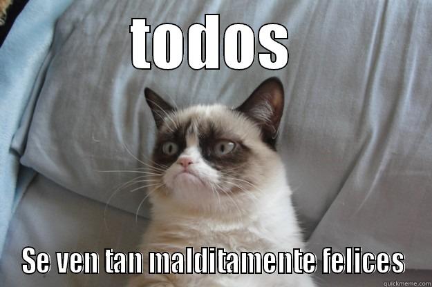 se ven tan malditamente felices - TODOS SE VEN TAN MALDITAMENTE FELICES Grumpy Cat