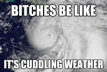 Bitches BE LIKE IT'S CUDDLING WEATHER  