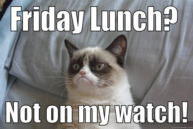 FRIDAY LUNCH?   NOT ON MY WATCH! Grumpy Cat