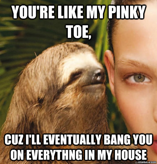 you're like my pinky toe,  cuz i'll eventually bang you on everythng in my house  rape sloth