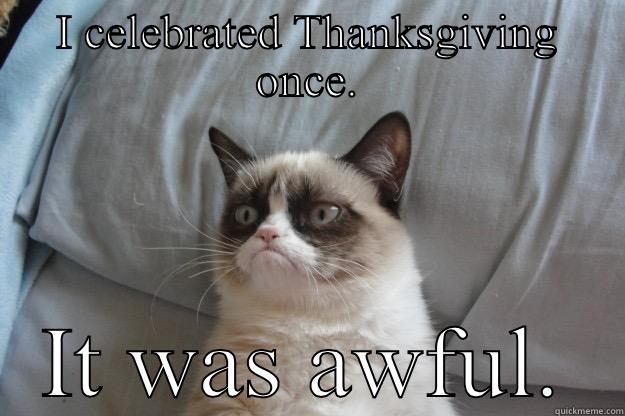 I CELEBRATED THANKSGIVING ONCE. IT WAS AWFUL. Grumpy Cat