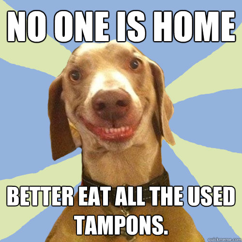 No one is home Better eat all the used tampons.  Disgusting Doggy