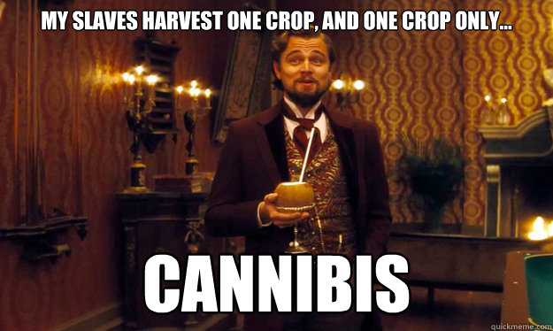 My slaves harvest one crop, and one crop only... Cannibis  Incorrigible Slave Owner