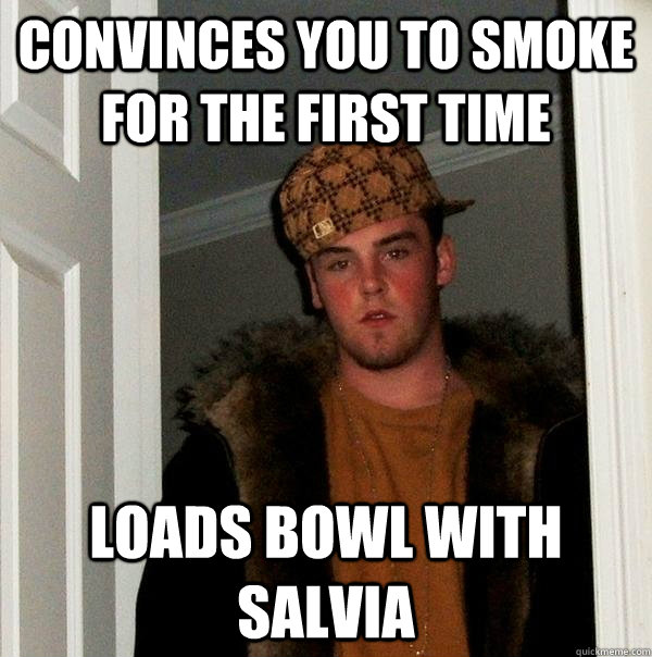 convinces you to smoke for the first time loads bowl with salvia  Scumbag Steve