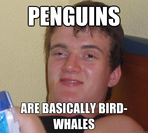 Penguins are basically bird-whales  10 Guy