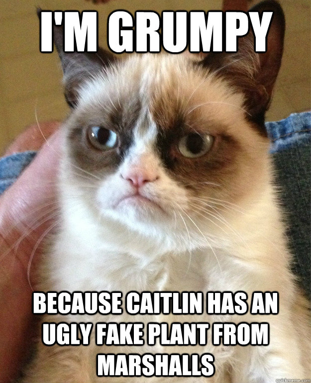 i'M GRUMPY BECAUSE CAITLIN HAS AN UGLY FAKE PLANT FROM MARSHALLS  Grumpy Cat