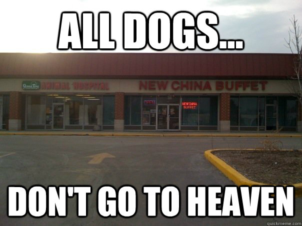 All dogs... don't go to heaven - All dogs... don't go to heaven  Puppy Chow!