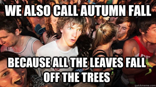 We also call autumn fall because all the leaves fall off the trees - We also call autumn fall because all the leaves fall off the trees  Sudden Clarity Clarence