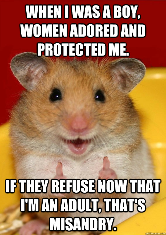 When I was a boy, women adored and protected me. If they refuse now that I'm an adult, that's misandry.   - When I was a boy, women adored and protected me. If they refuse now that I'm an adult, that's misandry.    Rationalization Hamster