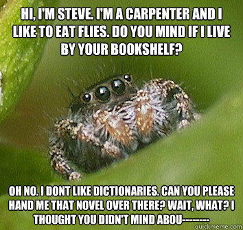 Hi, i'm steve. i'm a carpenter and i like to eat flies. do you mind if i live by your bookshelf? oh no. i dont like dictionaries. can you please hand me that novel over there? wait, what? i thought you didn't mind abou--------  Misunderstood Spider