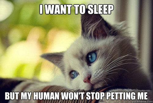 I want to sleep but my human won't stop petting me  First World Problems Cat