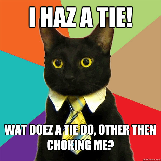 i haz a tie! wat doez a tie do, other then choking me?  Business Cat