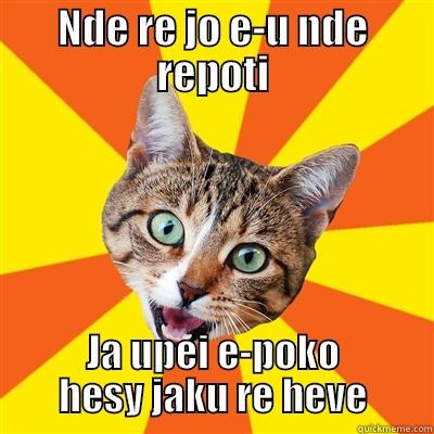 NDE RE JO E-U NDE REPOTI JA UPEI E-POKO HESY JAKU RE HEVE Bad Advice Cat