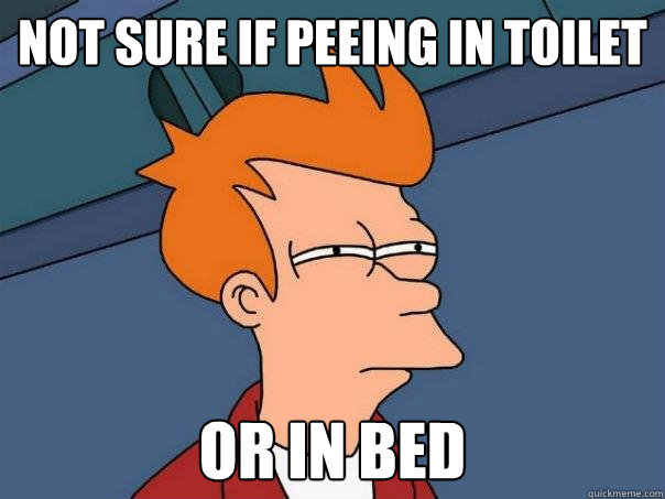 Not sure if peeing in toilet or in bed  Futurama Fry