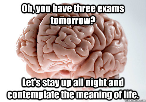 Oh, you have three exams tomorrow? Let's stay up all night and contemplate the meaning of life.  Scumbag Brain